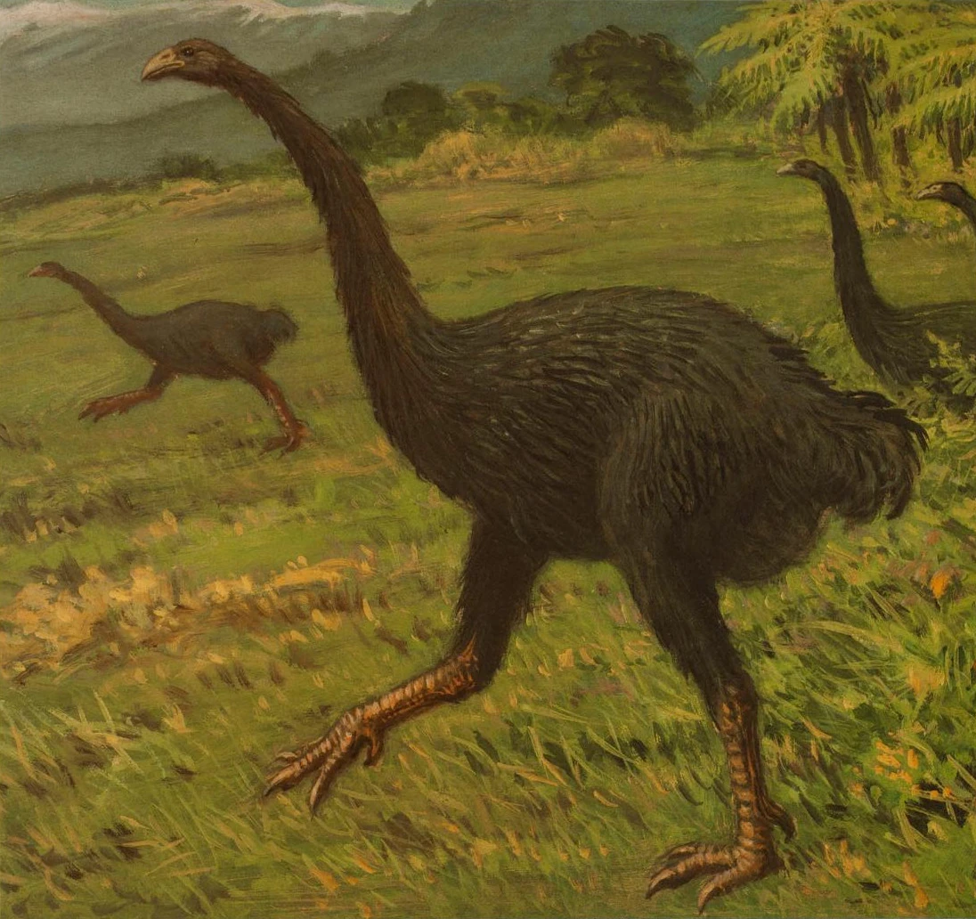 tumblr e995e9da6a83cac11746d57c49e39b17 6d42f1e1 1280